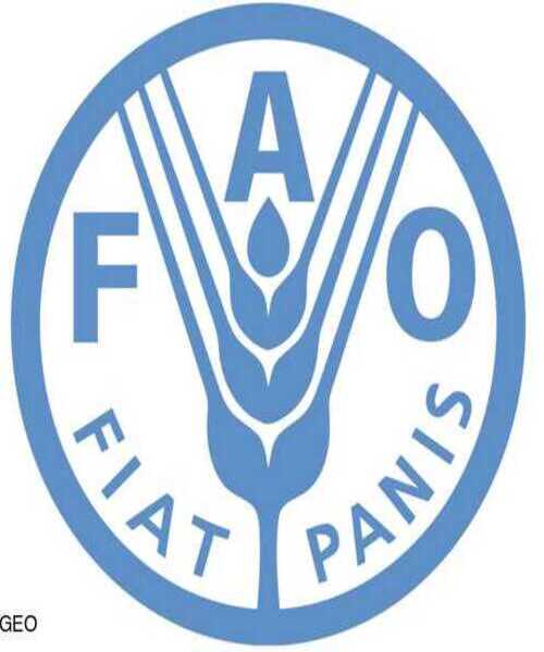 FAO